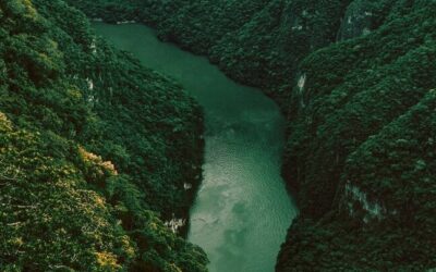 A naturalist guide in the amazon rainforest