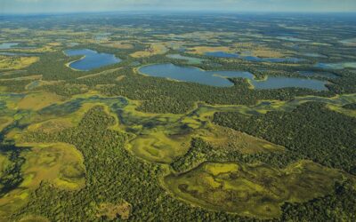 Gabriel Massocato and his research on the giant armadillo