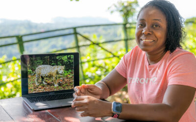 NeoWild: the threats to jaguars and the impacts of mining and hunting large cats