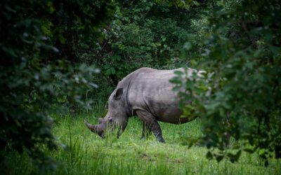 The importance of nature conservation