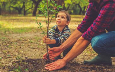 What is nature conservation?