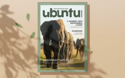 Issue 1 – what’s in it?