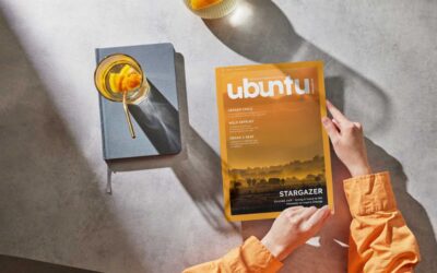 Issue 11 – what’s in it?