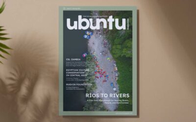 Issue 9 – what’s in it?