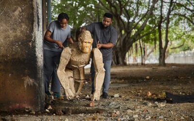 Issue 13 – what’s in it?