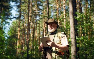 Is nature conservation working?