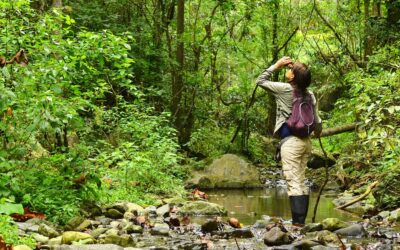 World Nature Conservation Day