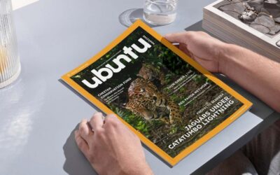 Issue 18 – what’s in it?